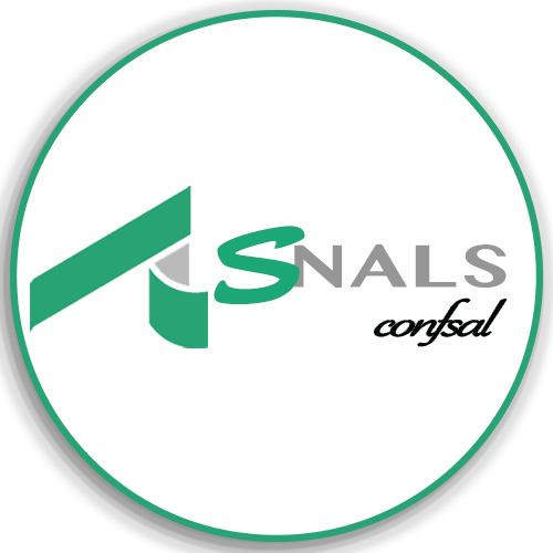 Logo Snals