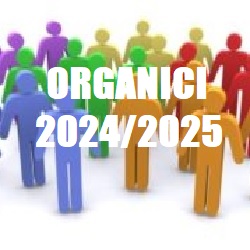 Organici ATA a.s. 2024/25: bozza decreto interministeriale